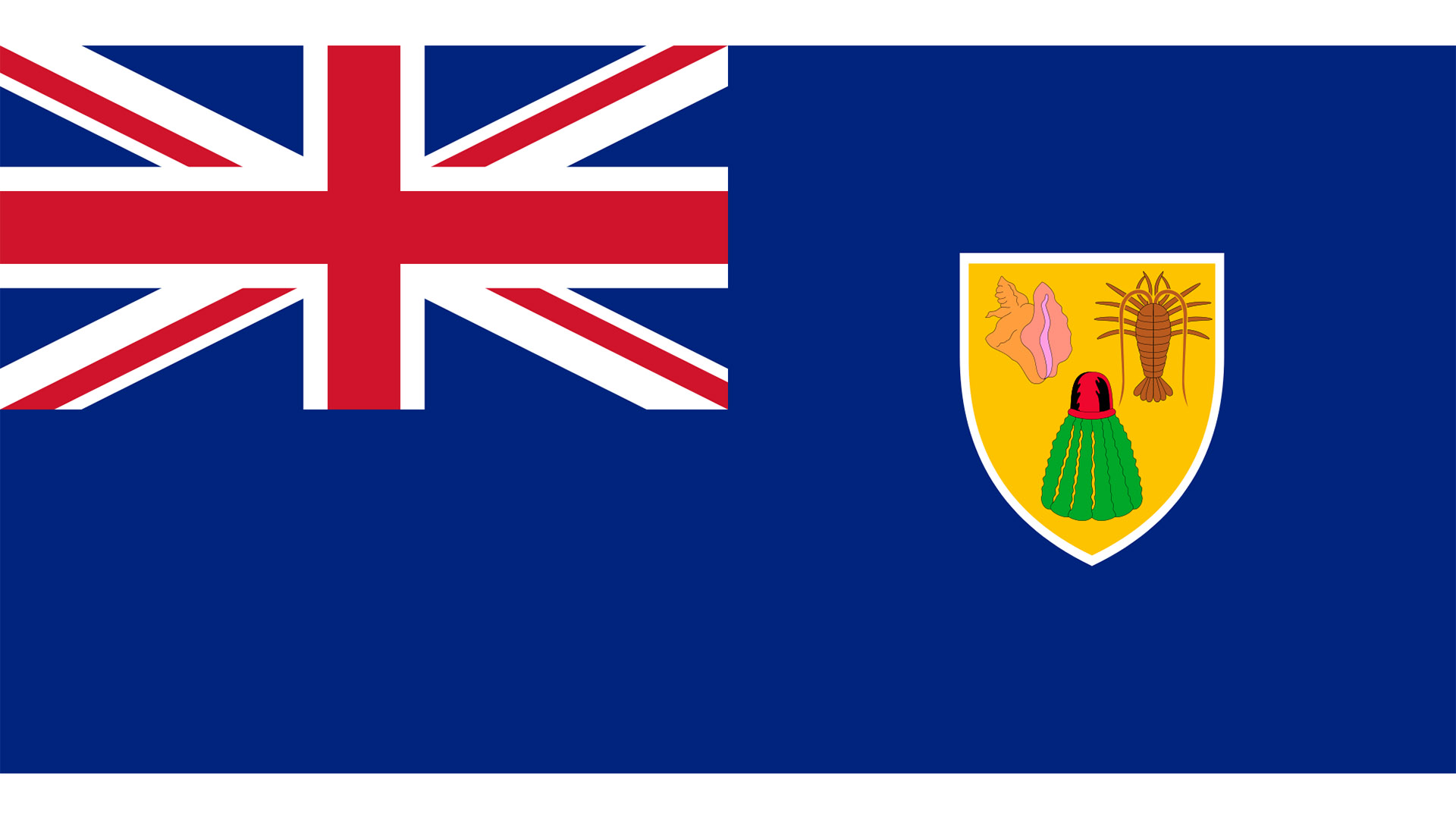 tci_flag