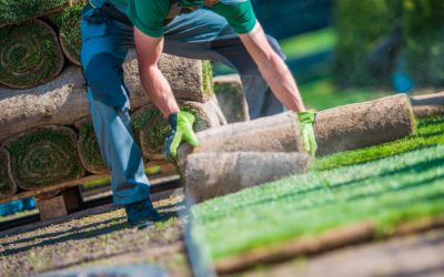 Installation of Grass Turfs