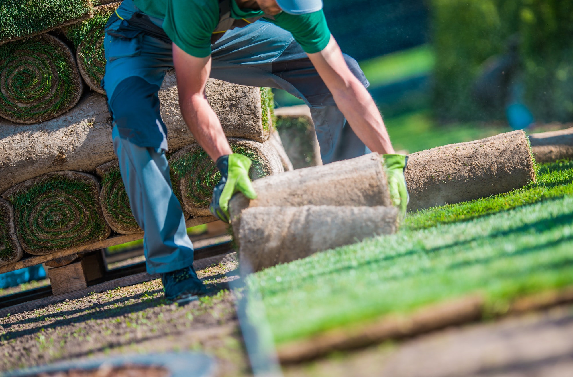 Installation of Grass Turfs