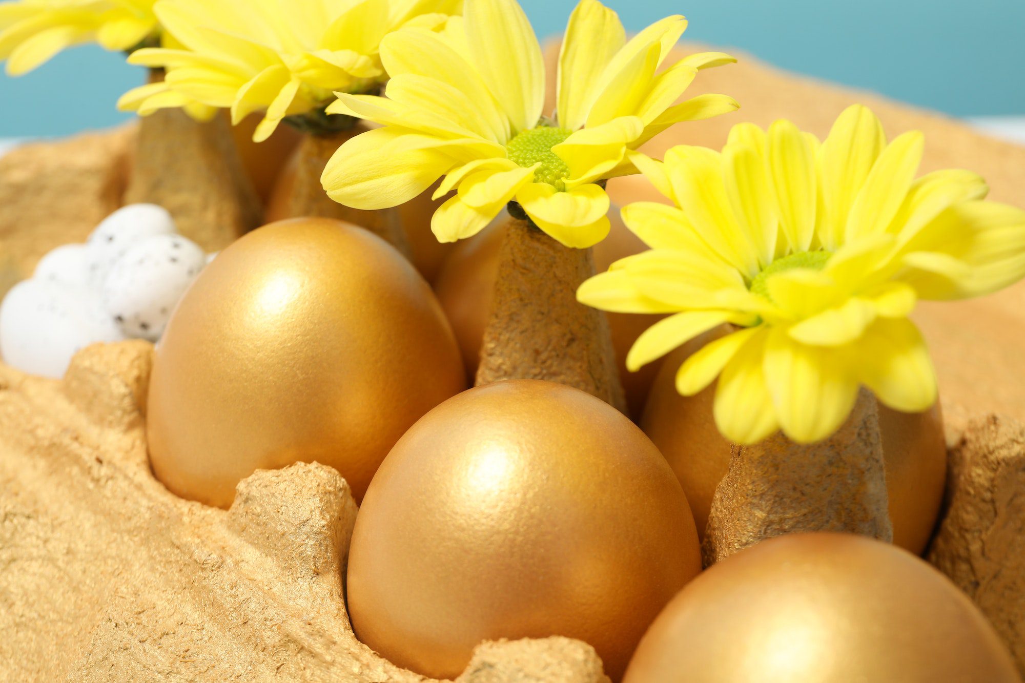 Concept of Richness and prosperity, golden eggs