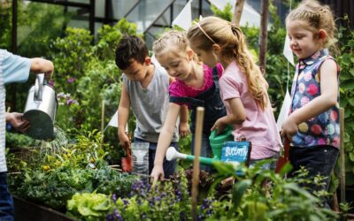 Group of kindergarten kids learning gardening outdoors