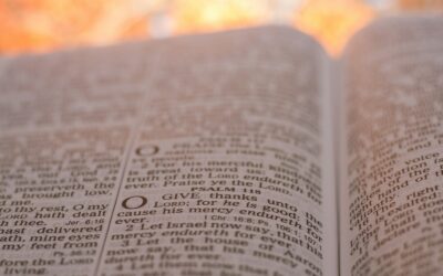 white and black labeled book