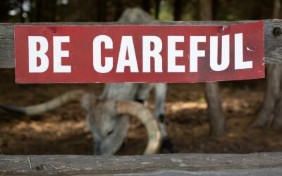 red and white signage
